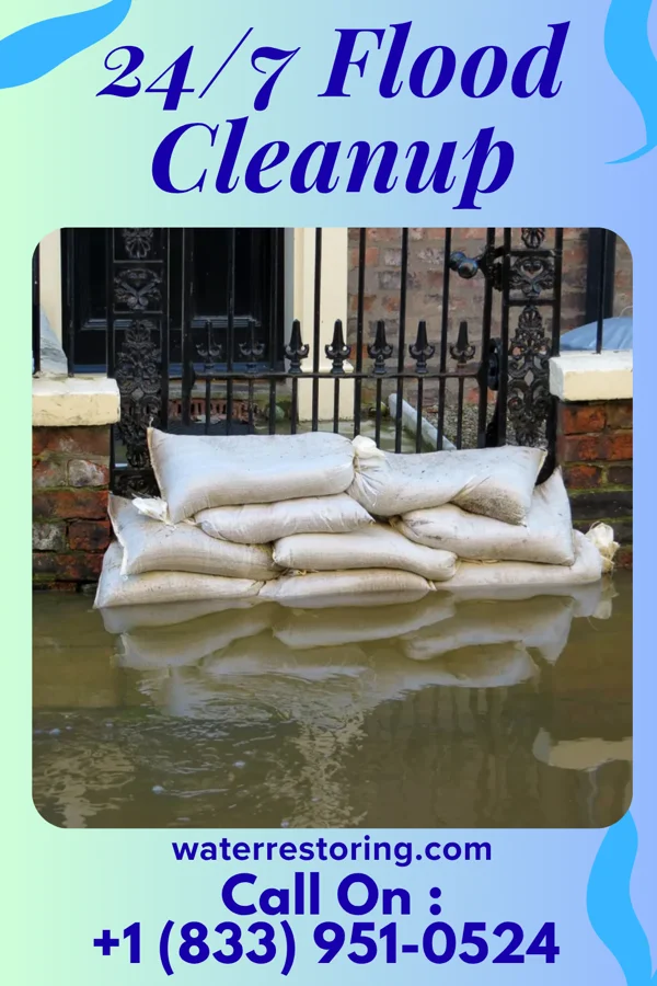 24/7 Flood Cleanup in Coburg, IA